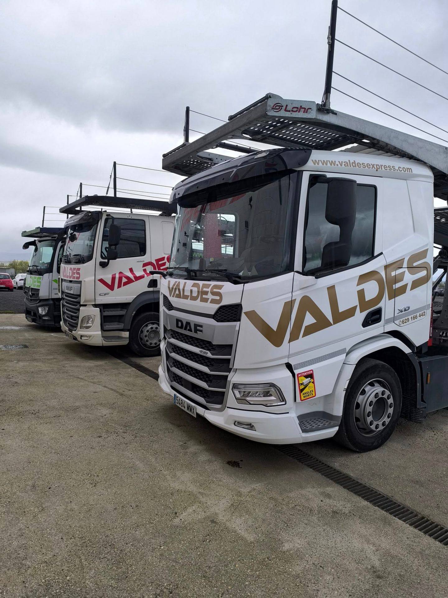 Camiones DAF portavehículos de Valdés Express aparcados en fila